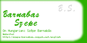 barnabas szepe business card